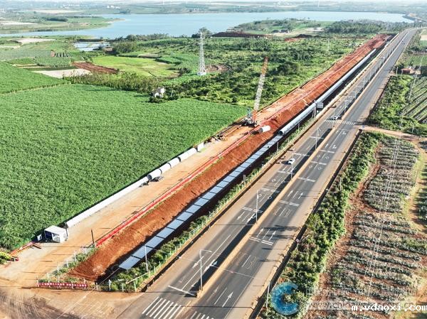 8bcbcde6e93c4b04960e487e9cef4f0a_B_BASIC