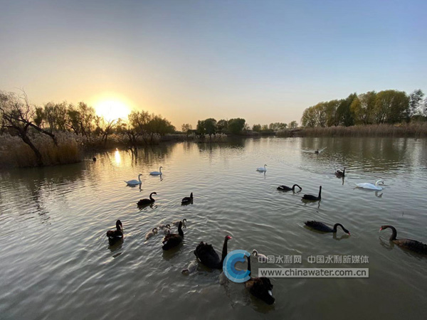΢�� 05440.jpg